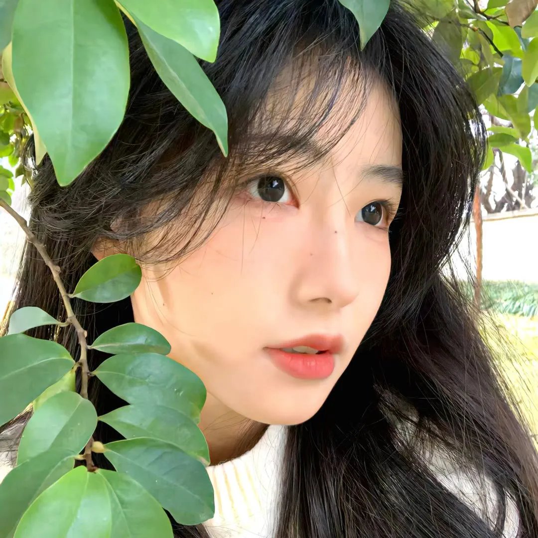 薰香花朵凛然绽放